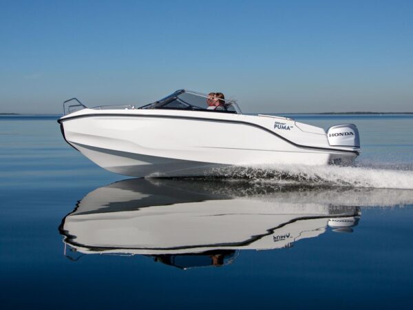 Silver Puma BR
