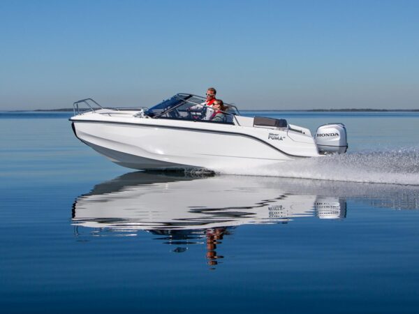 Silver Puma BR